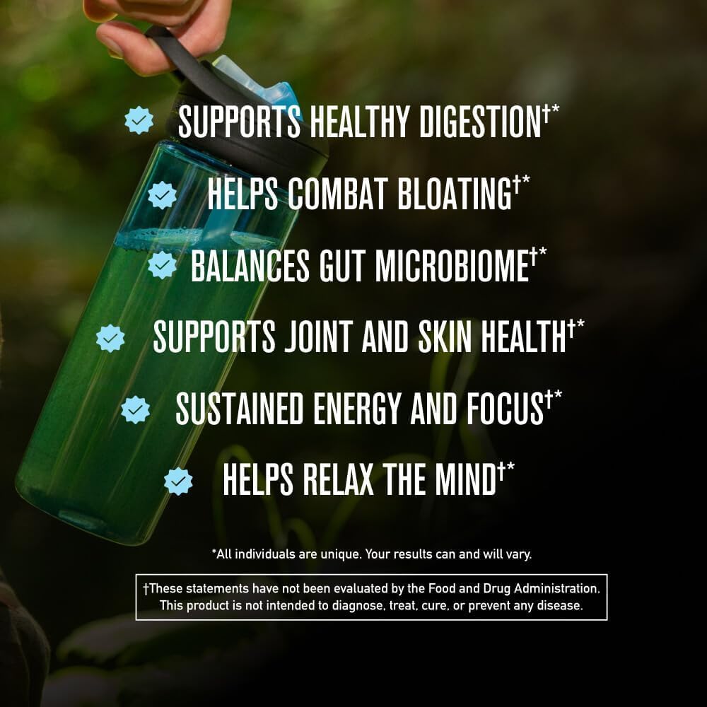 ROUNDHOUSE PROVISION Morning Kick, Zero Sugar Greens Superfood Powder supplement